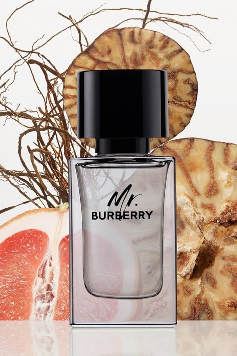 Burberry Mr. Burberry EDT 50 ml parfümIVET.HU - A te online butikod.