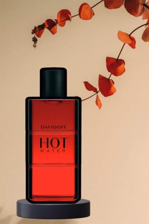 Davidoff Hot Water EDT 110 ml parfümIVET.HU - A te online butikod.