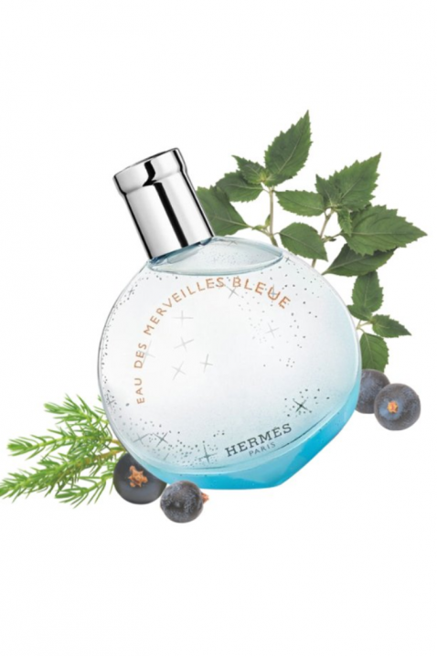 Hermes Eau Des Merveilles Bleue EDT 50 ml parfümIVET.HU - A te online butikod.